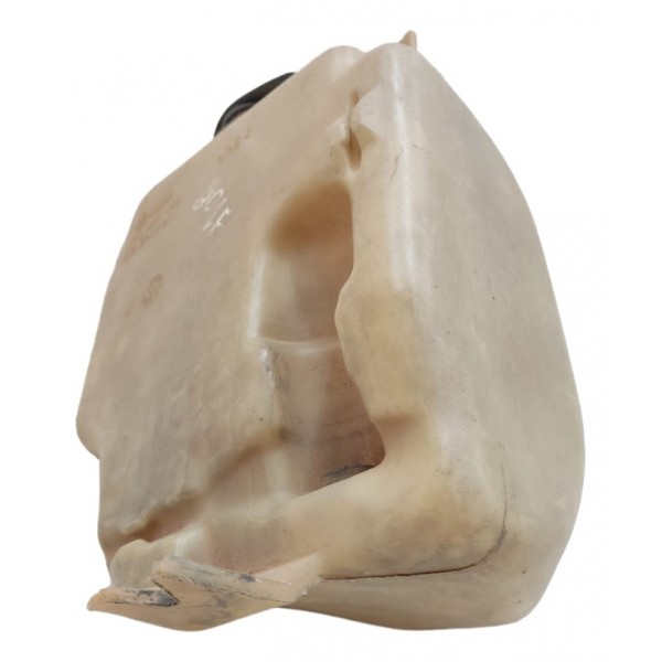 Reservatório Agua Parabrisa Golf 1994 1995 1996 1997 1998