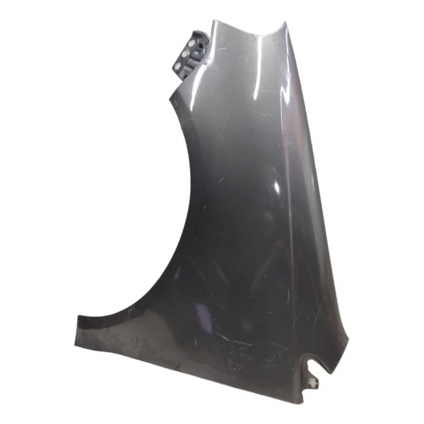 Paralama Esquerdo Volkswagen Polo 2003 2004 2005 2006