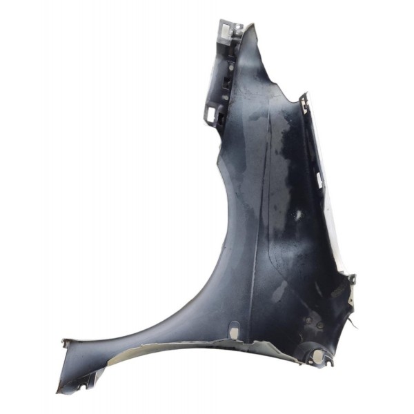 Paralama Direito Renault Scenic 2002 2003 2004 2005 2006
