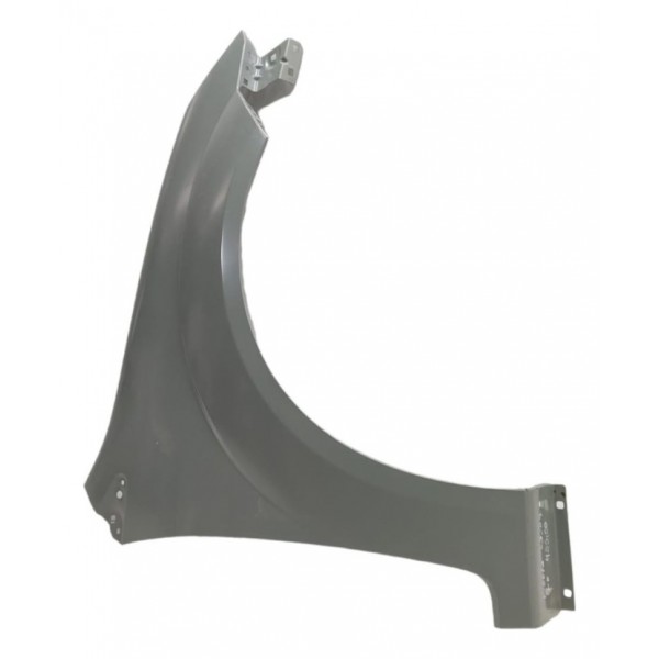 Paralama Direito Ford Fiesta 2003 2004 2005 2006 2007