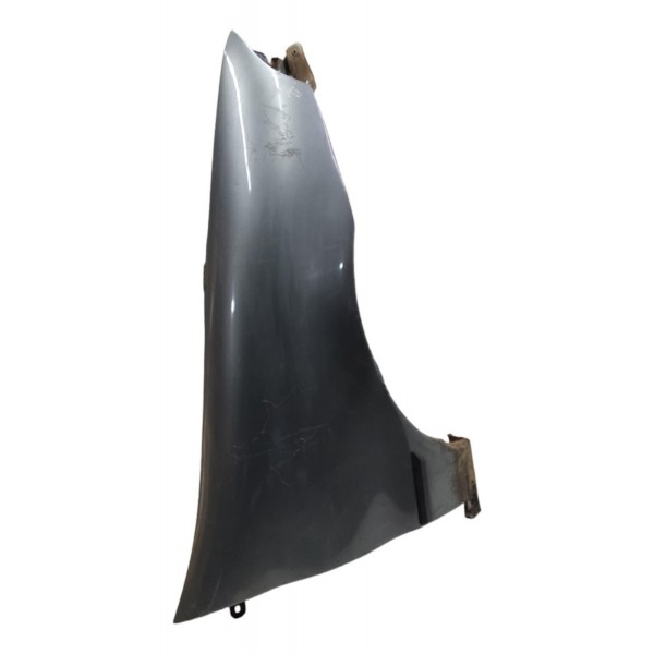 Paralama Direito Fiat Palio Siena 1996 1997 1998 1999 2000