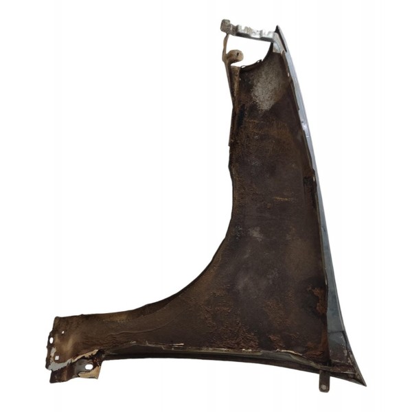 Paralama Direito Fiat Palio Siena 1996 1997 1998 1999 2000