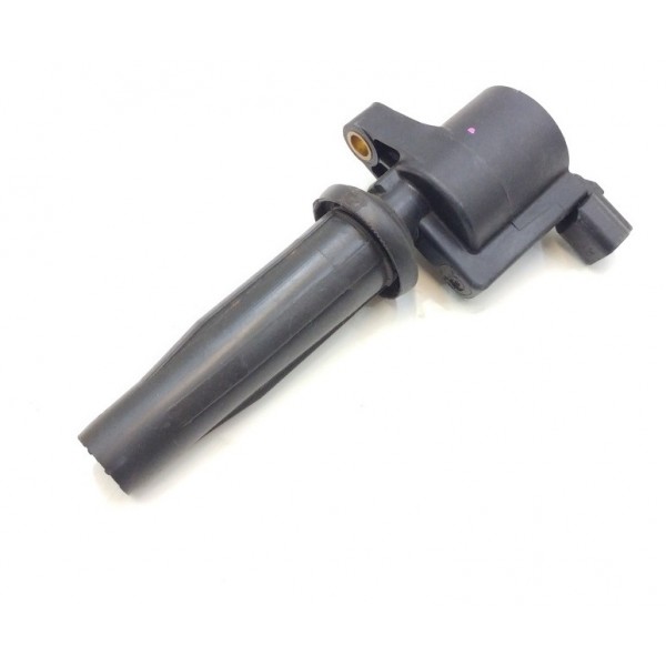 Bobina Ignição Ford Ecosport 2.0 16v Duratec 2009 A 2013