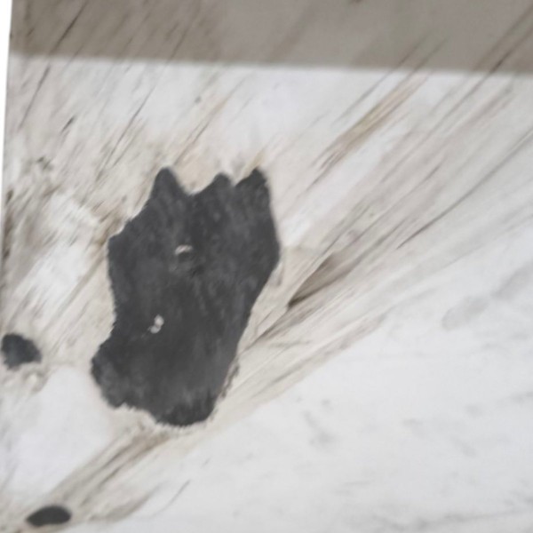 Parachoque Dianteiro Gm Onix 2020 2021 2022 2023 2024 Branco